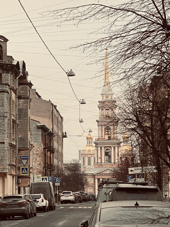 Санкт-Петербург: Квартира на улице Тюшина 24