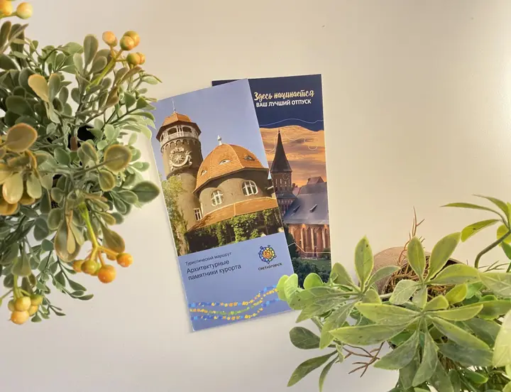 Светлогорск: Квартира Морской курорт