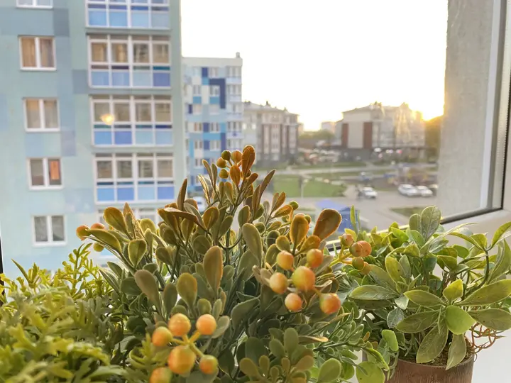 Светлогорск: Квартира Морской курорт