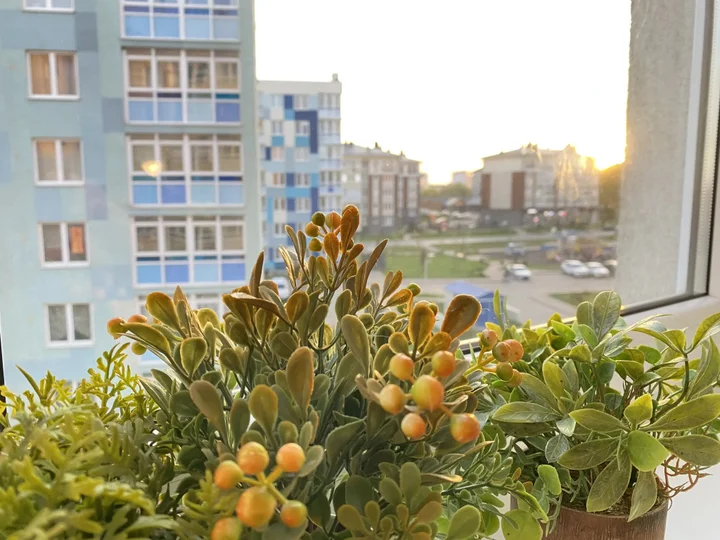 Светлогорск: Квартира Морской курорт