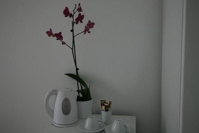 Зейтинликой: Gokceada Anemos Hotel