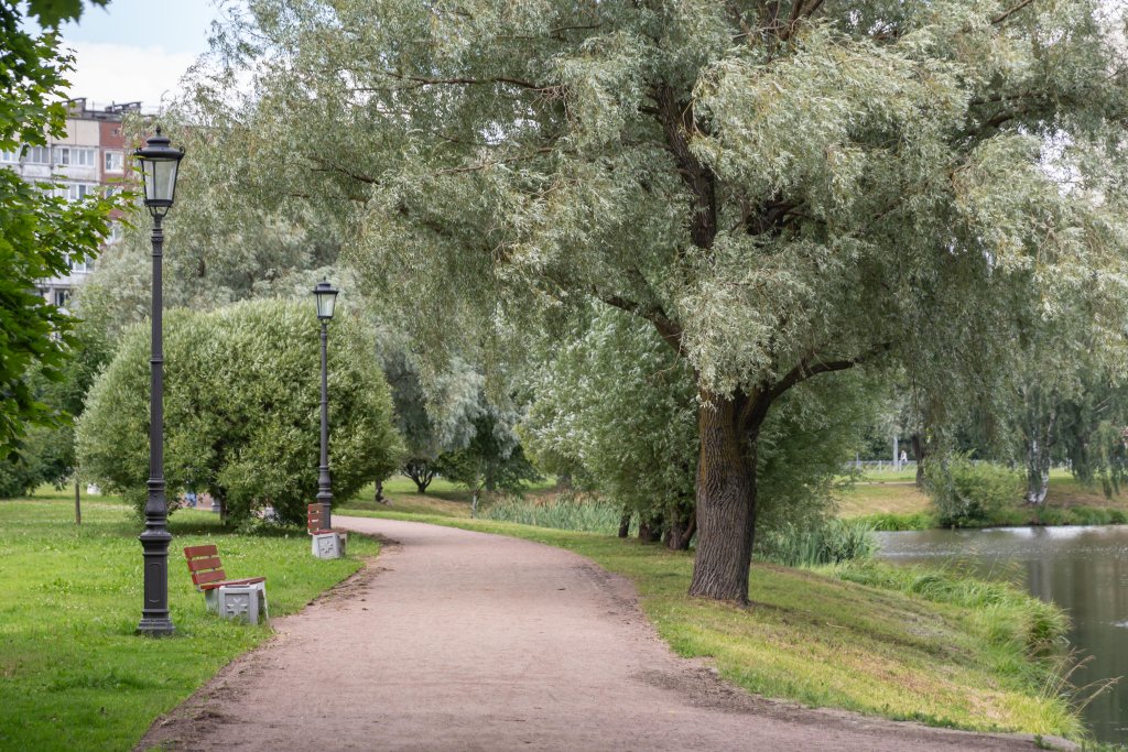 Санкт-Петербург: Квартира Передовиков 25