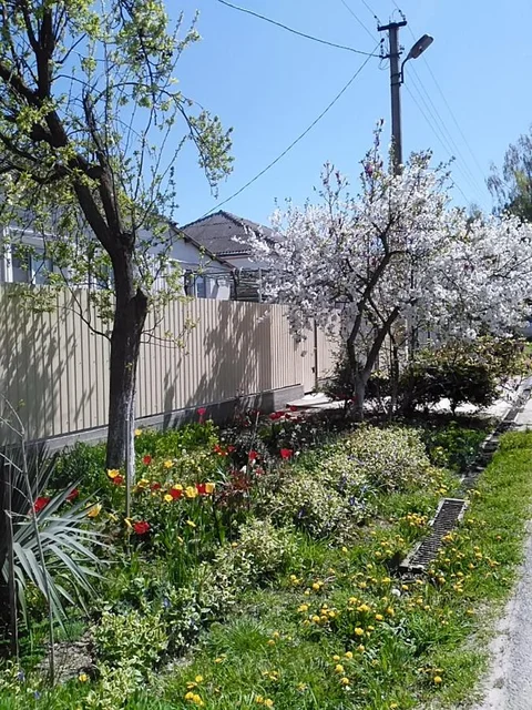 Анапа: Guest House Irina