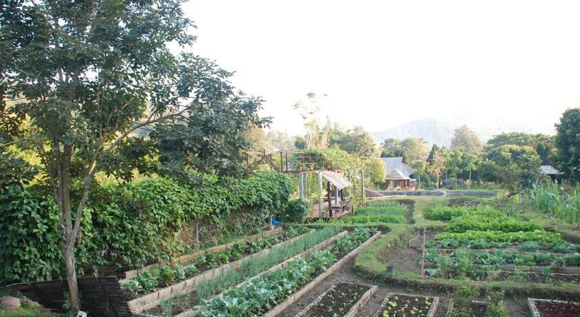 Мае-Таенг: Baan Thung Lakorn Organic Farmstay by Phusompor