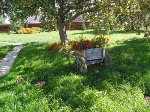 Браслав: Nedrovo Ustye Country House