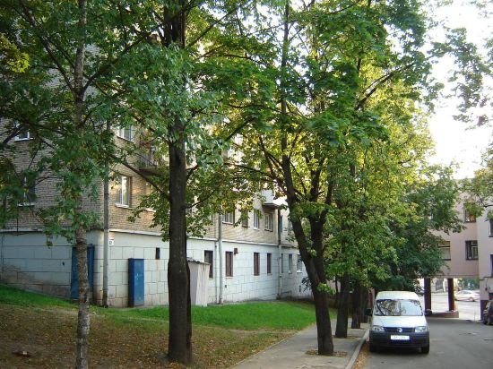 Витебск: Apartment near Amfiteatr