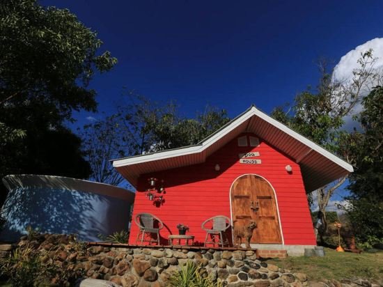 Паи: Dog House