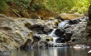 Паи: Armina pai