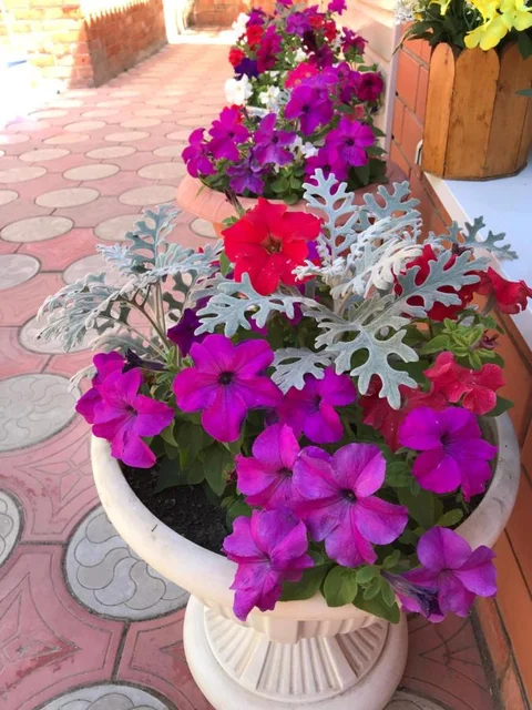 Ейск: Guest House Aleksandra