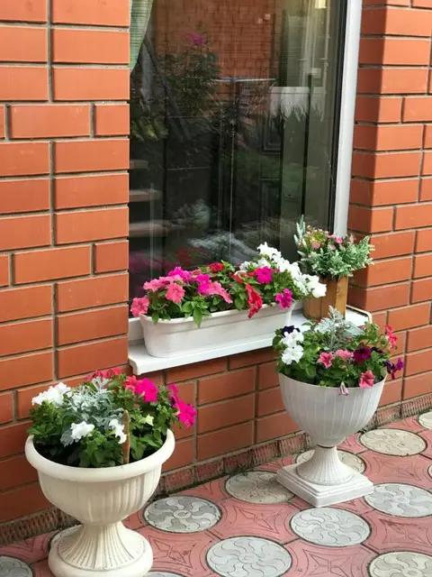 Ейск: Guest House Aleksandra
