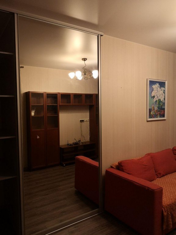 Санкт-Петербург: Ushinskogo 33 3 Apartments