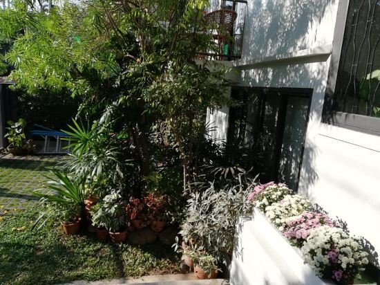 Чиангмай: 18 in Town Homestay