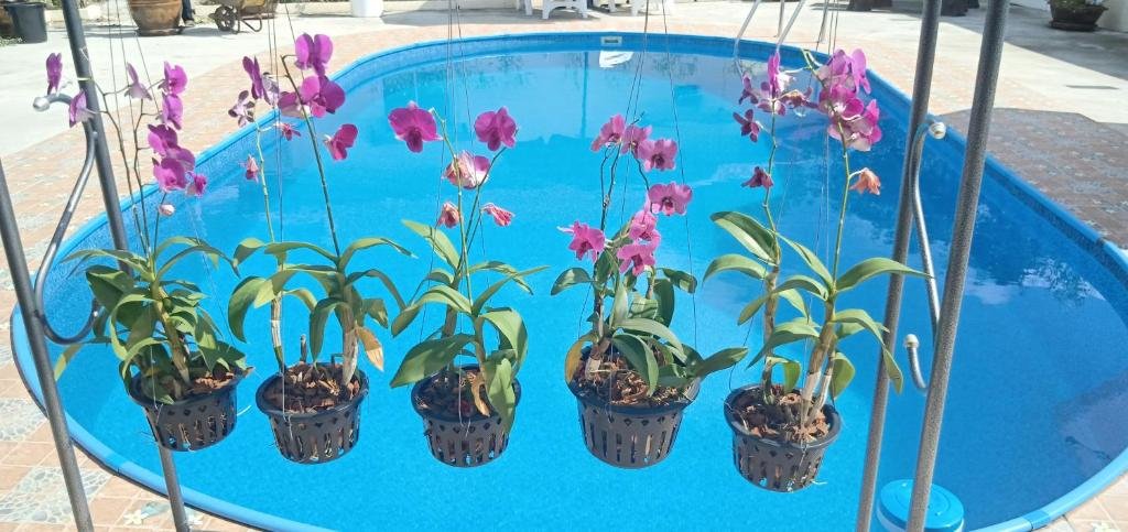 Бан-Мак-Хен: Private 2 Bedroom Villa With Swimming Pool Tropical Gardens Fast Wifi Smart Tv