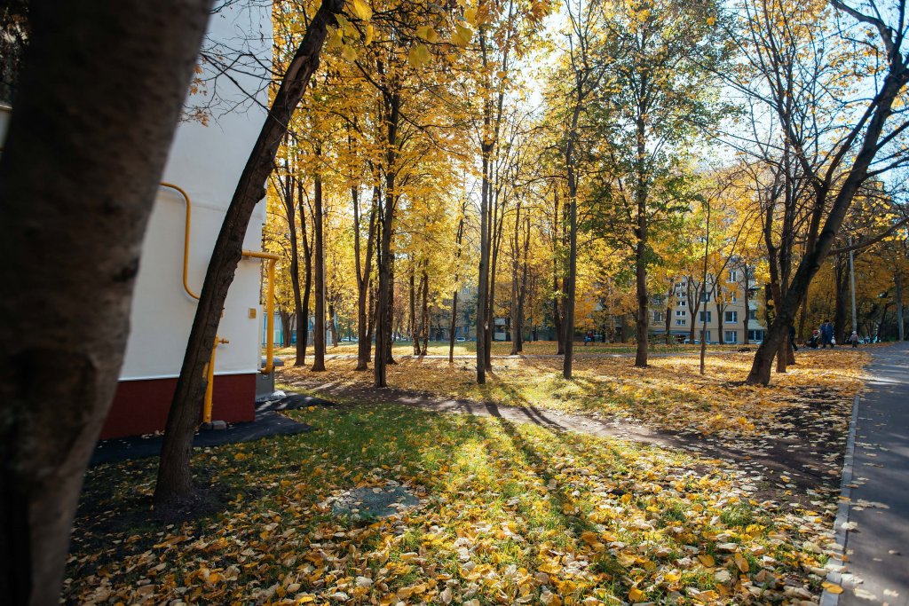 Москва: Butlerova 26 1 Apartments