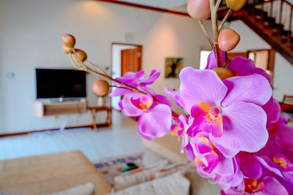 Паттайя: Lorin Villa 4Br With Private Pool