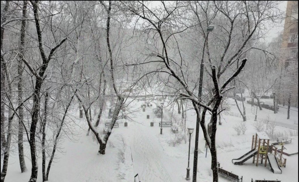 Квартира возле парка ВДНХ — фото 1