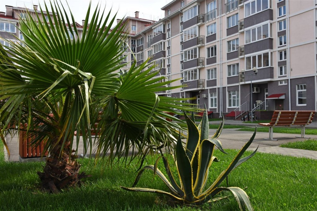 Адлер: Barkhatnie Sezony Family Quarter