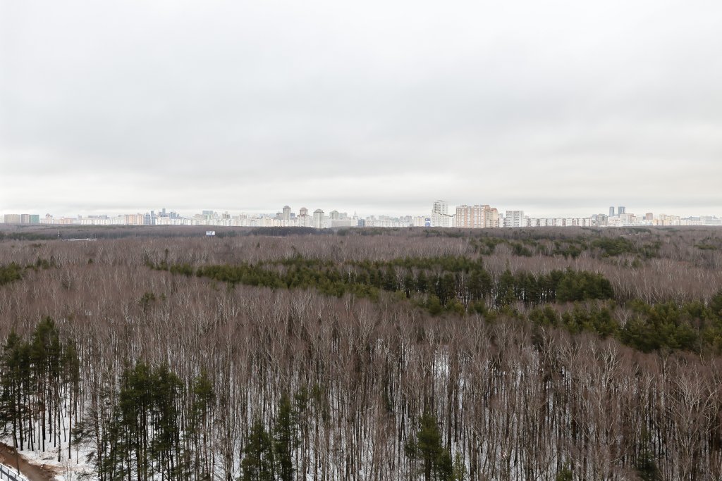 Москва: Квартира поселение «Мосрентген» 2, д. 5, стр. 3,