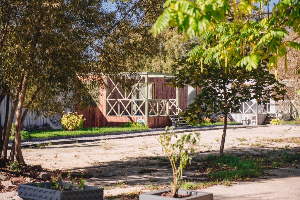 Светлогорск: Тихая Гавань