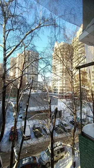 Москва: Квартира Domumetro Новочеремушкинская