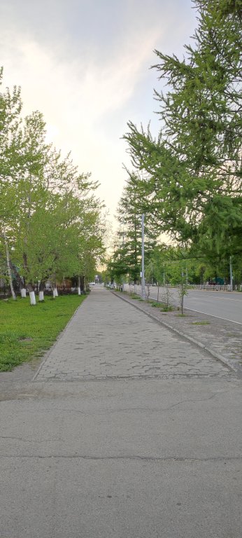 Елизово: Апартаменты "Теплое Место"