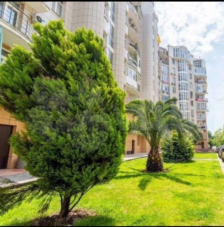 Квартира ParkLine Inn — фото 1