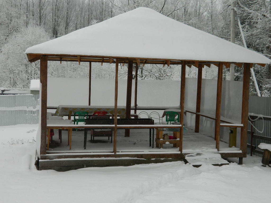 Пушкин: U Pavlovskogo Parka Guest House