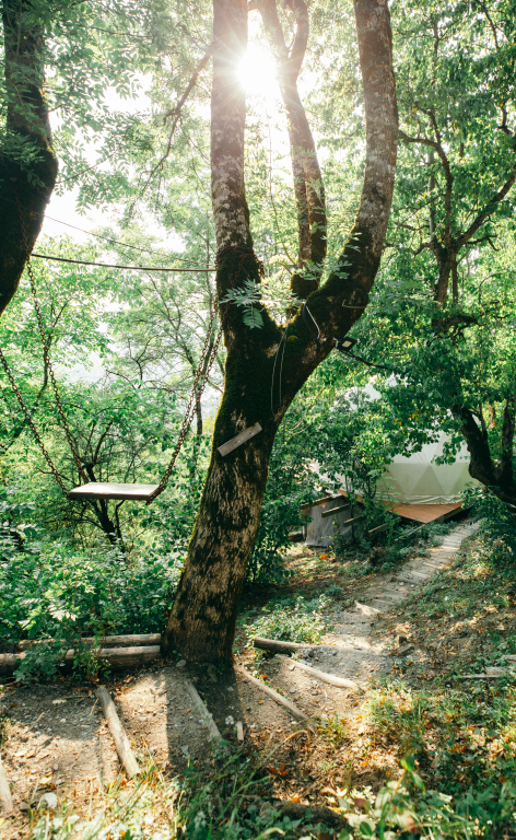 Глэмпинг Wine Space — фото 2