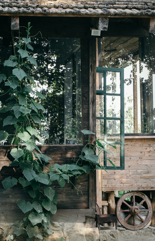 Амбролаури: Глэмпинг Wine Space