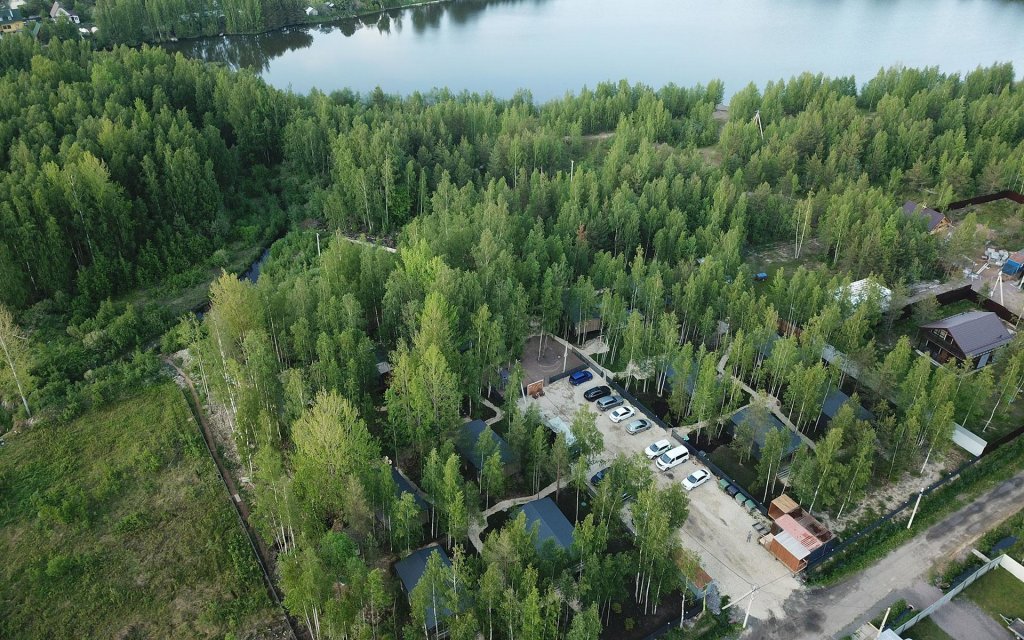 Низино: Сова Голубое озеро