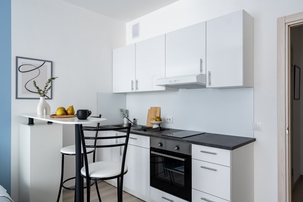 Санкт-Петербург: Апартаменты LERUKA HOME Стрижи