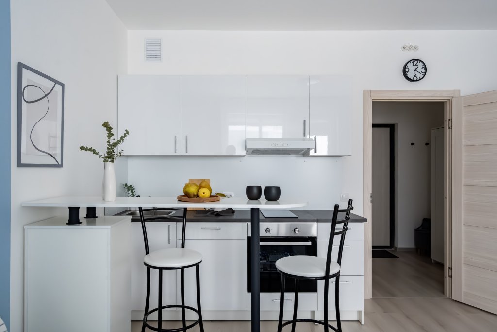 Санкт-Петербург: Апартаменты LERUKA HOME Стрижи