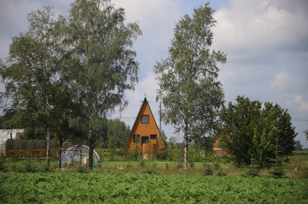 Клинцы: Экохуторок Сергеевка