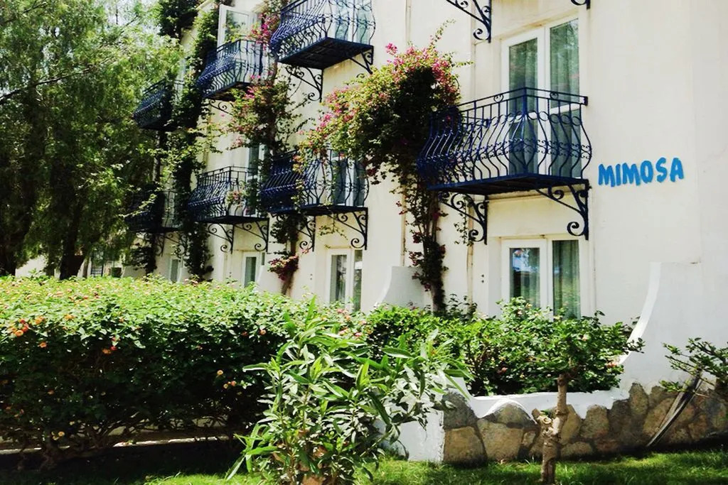 Тургутрейс: Regulus Kadıkalesi