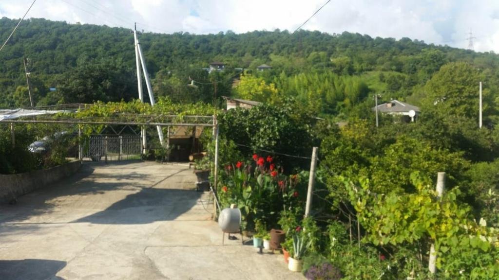 carousel image 0