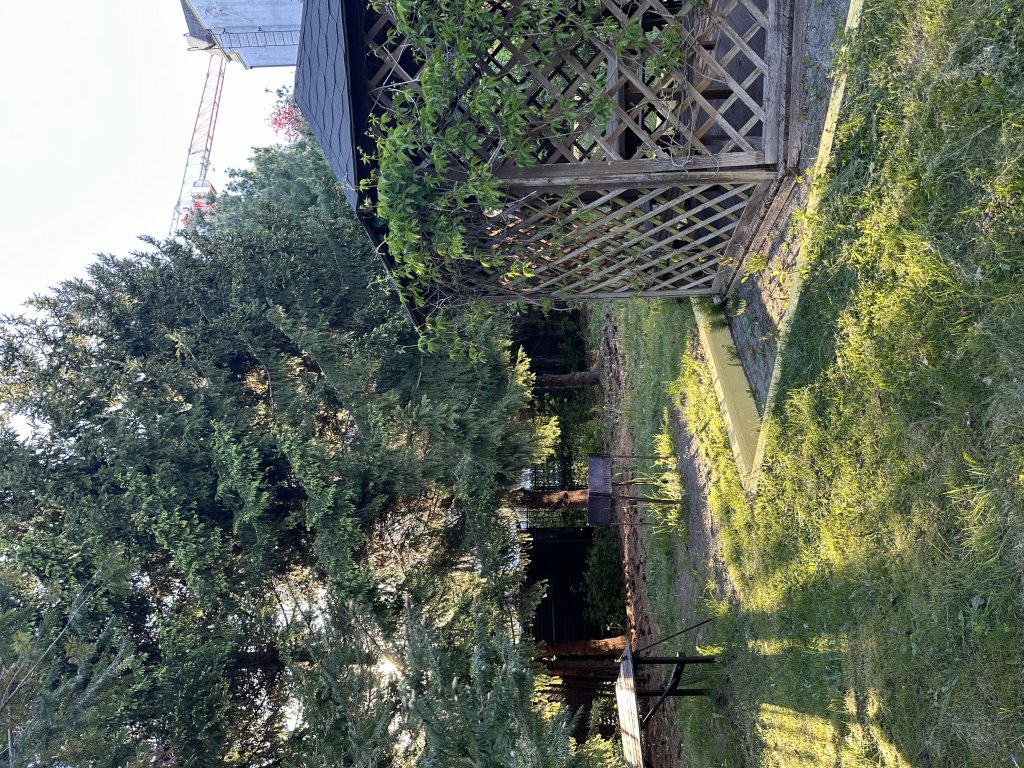Светлогорск: Квартира Студия с сауной