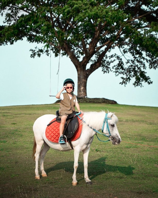 Пак-Чонг: Bergh Apton Khao Yai