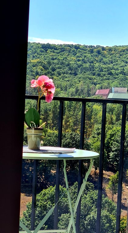 Цахкадзор: Nature View Designer Studio