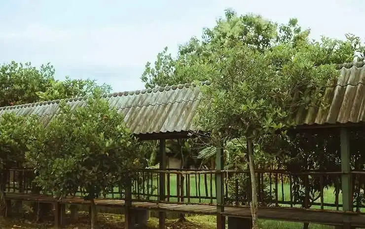 Сан-Патонг: Rabeing view Doona  Chiang Mai