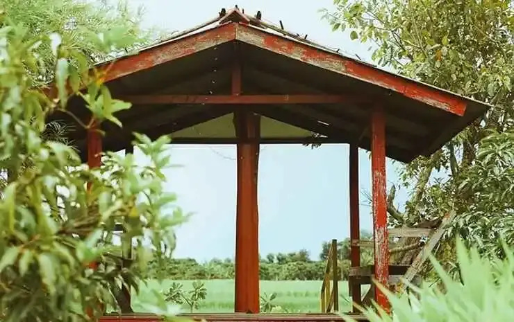 Сан-Патонг: Rabeing view Doona  Chiang Mai