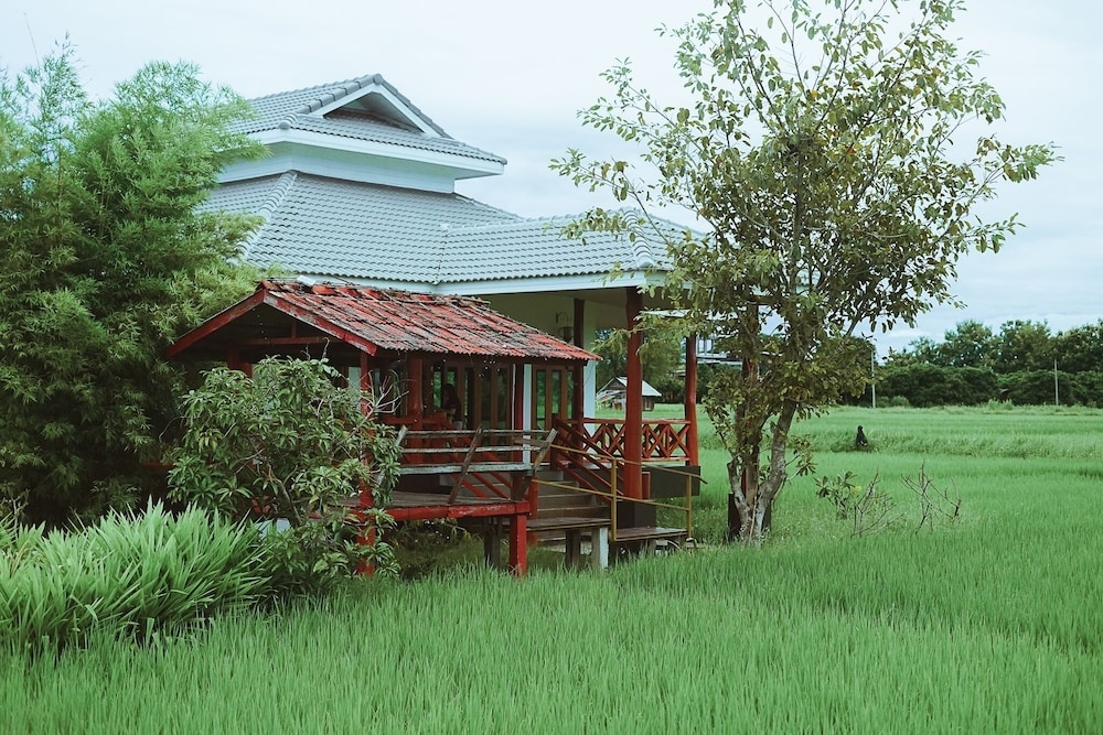 Сан-Патонг: Rabeing view Doona  Chiang Mai