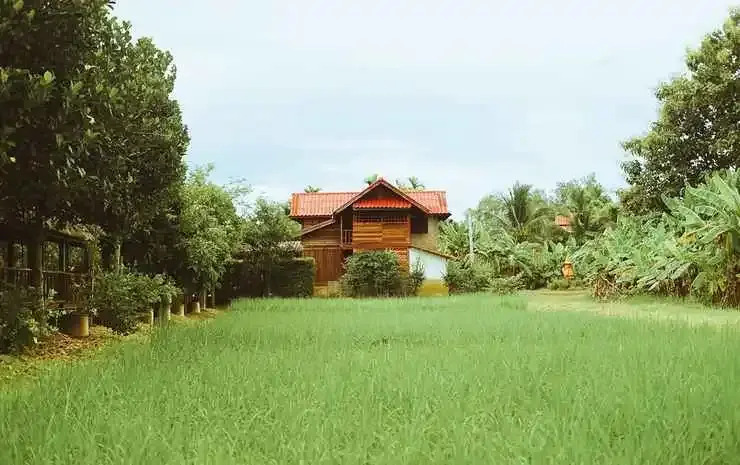 Сан-Патонг: Rabeing view Doona  Chiang Mai