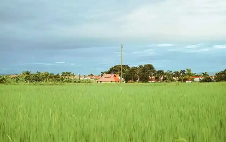 Сан-Патонг: Rabeing view Doona  Chiang Mai