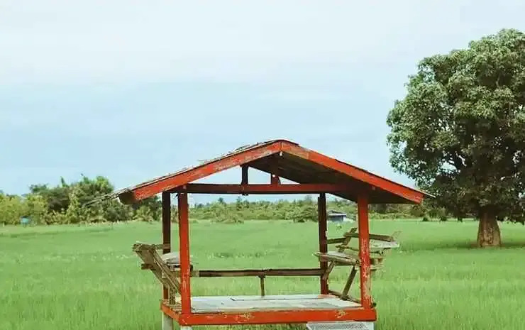 Сан-Патонг: Rabeing view Doona  Chiang Mai