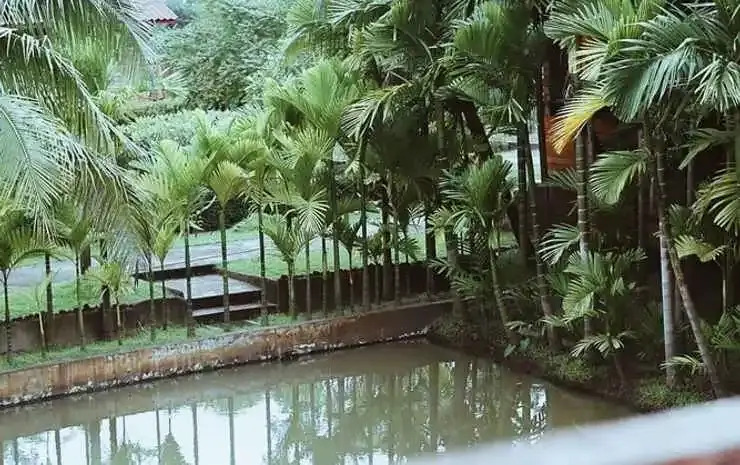 Сан-Патонг: Rabeing view Doona  Chiang Mai