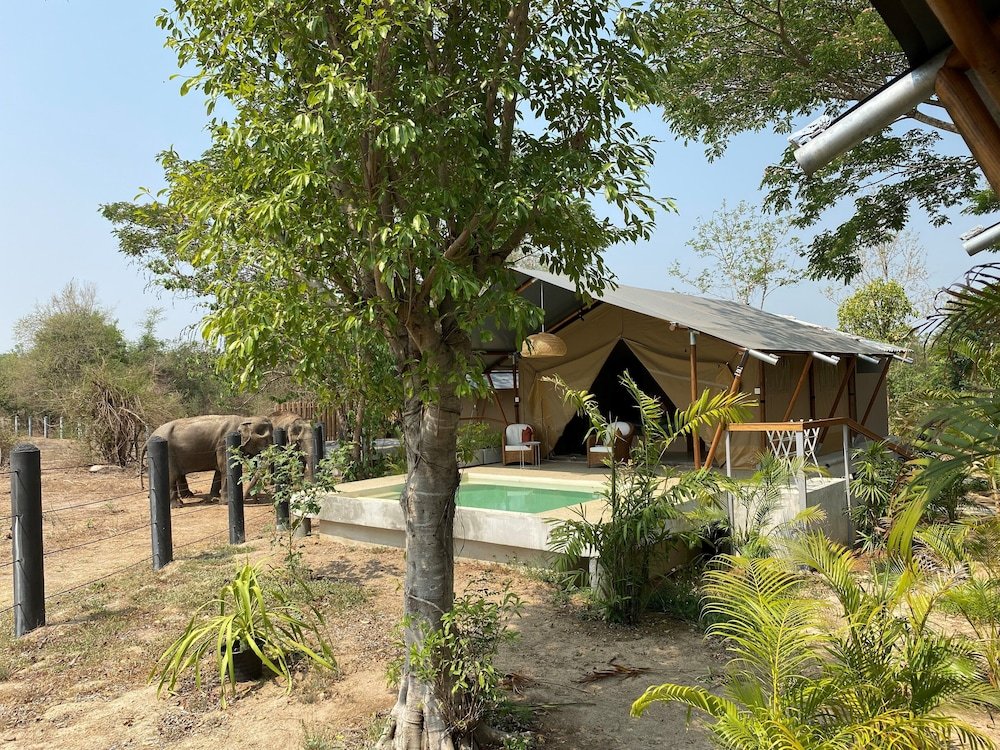 Elephant View Camp — фото 6