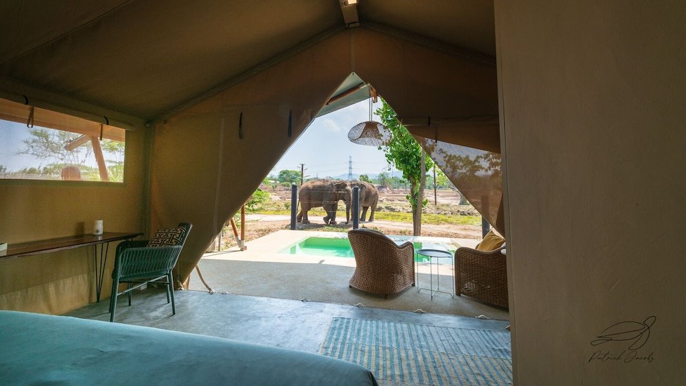 Elephant View Camp — фото 2