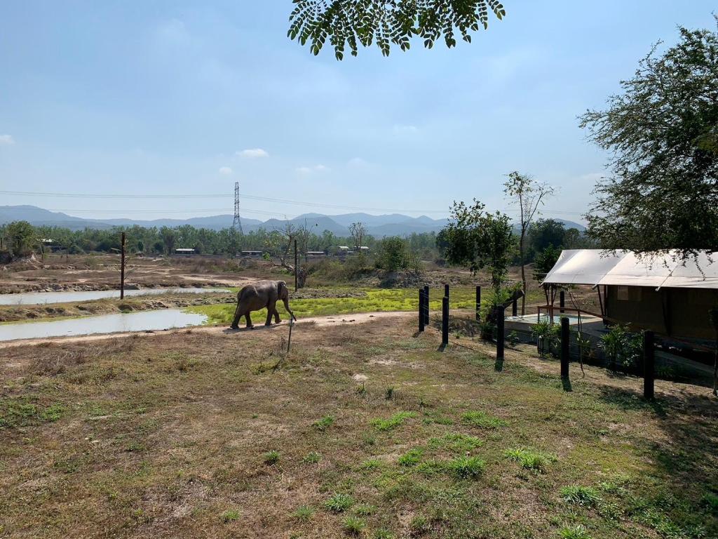 Тха-Май-Руак: Elephant View Camp