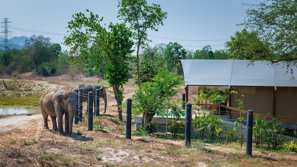 Тха-Май-Руак: Elephant View Camp