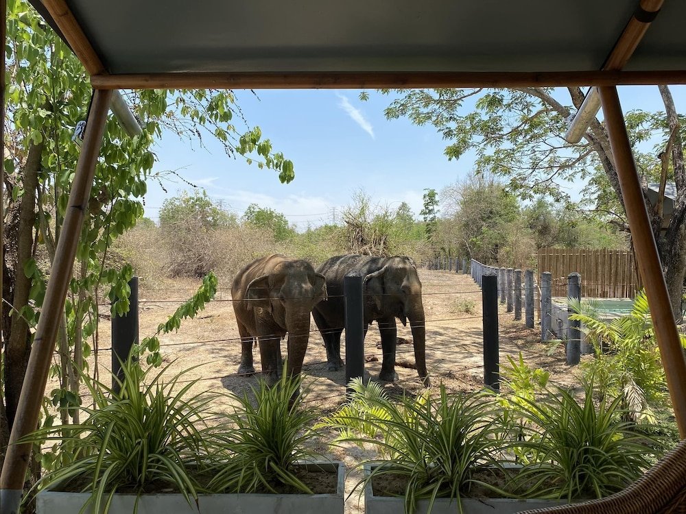 Тха-Май-Руак: Elephant View Camp